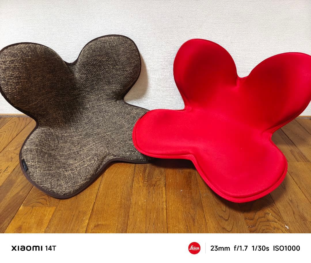 【美品】MTG 骨盤サポート　ボディメイクシート　スタイル　レッド ブラウン