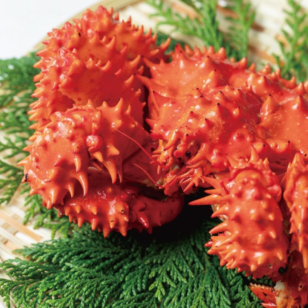 限20％OFF定セール【国産高級缶詰】花咲がにてっぽう汁425g11缶 とめ買い