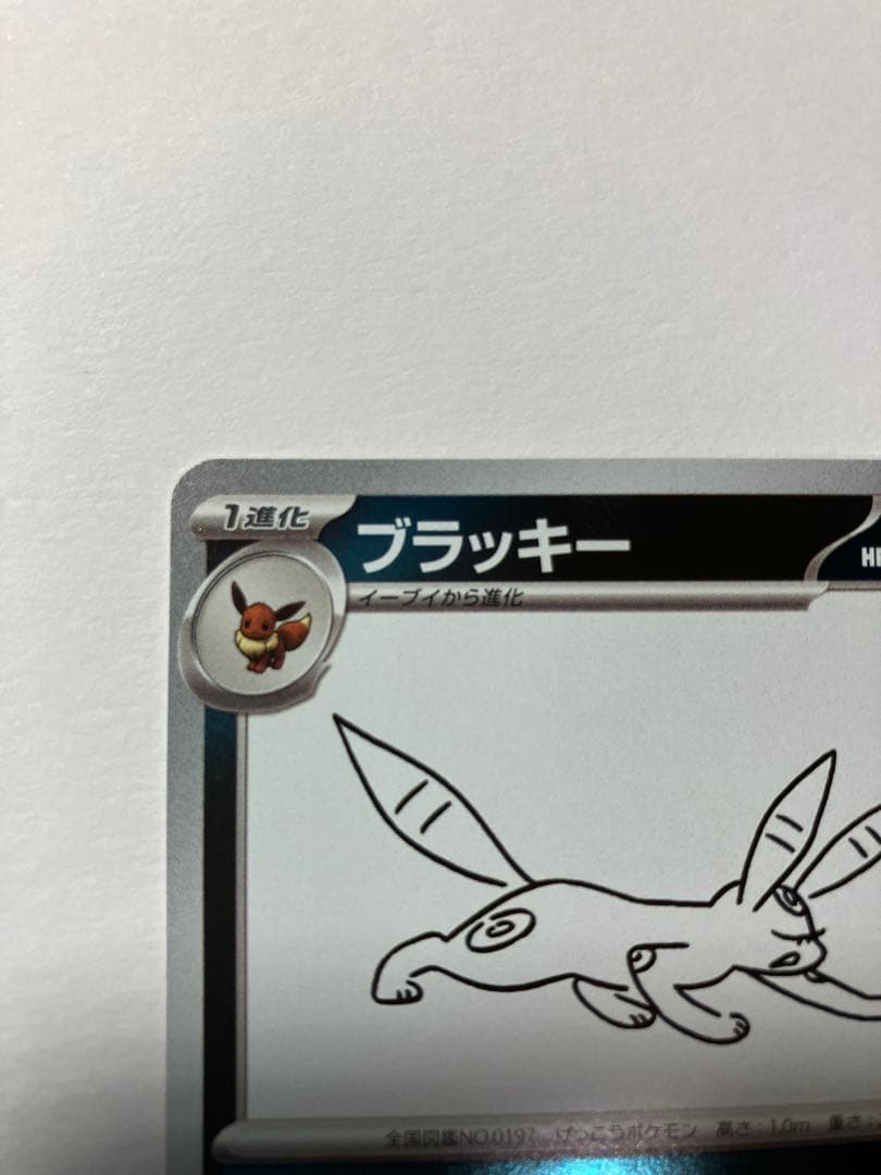 ブラッキー　長場　nagaba