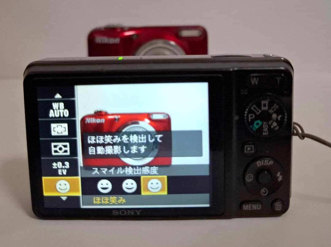 [準美品]ソニー SONY Cyber-Shot DSC-WX1 デジタルカメラ
