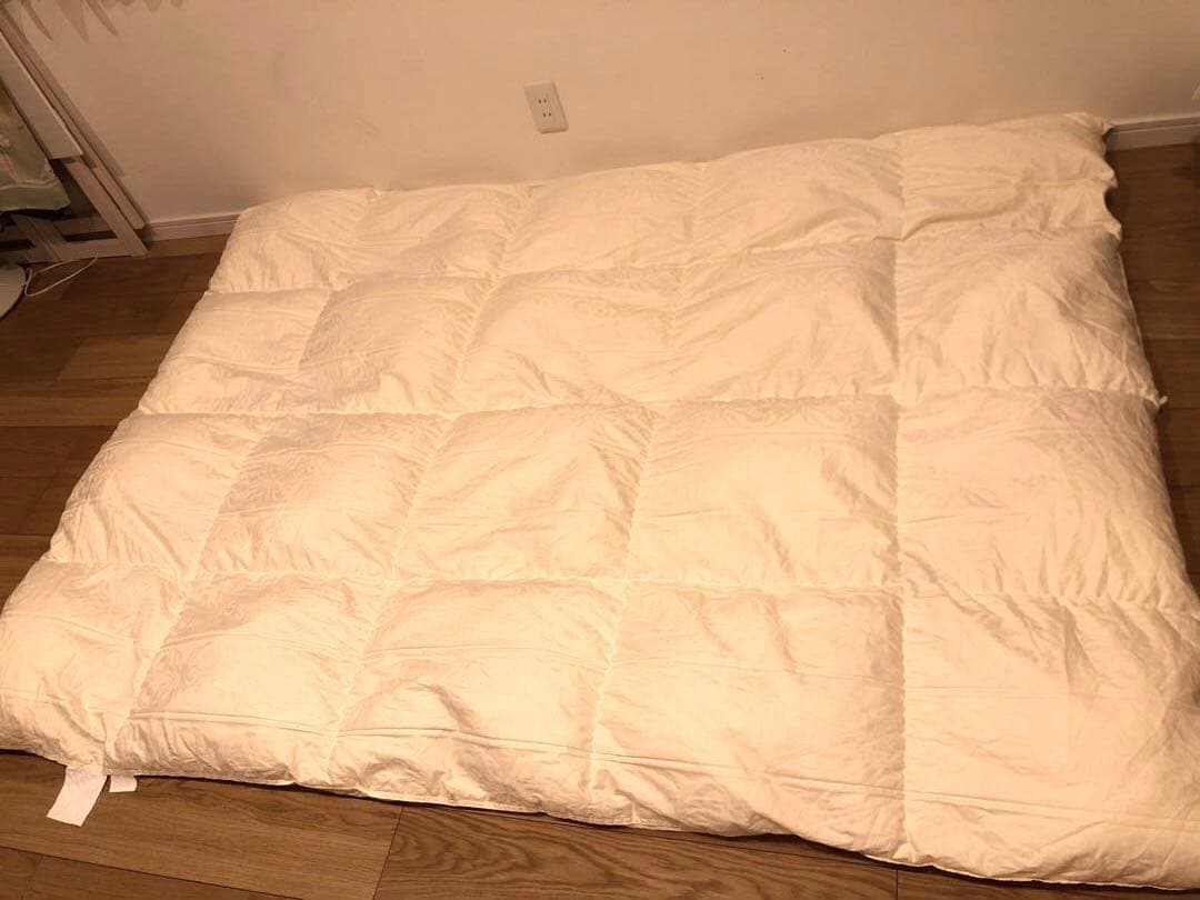 カウフマン シェーンベルグ Hグース 95% シングル　1.0k 綿100