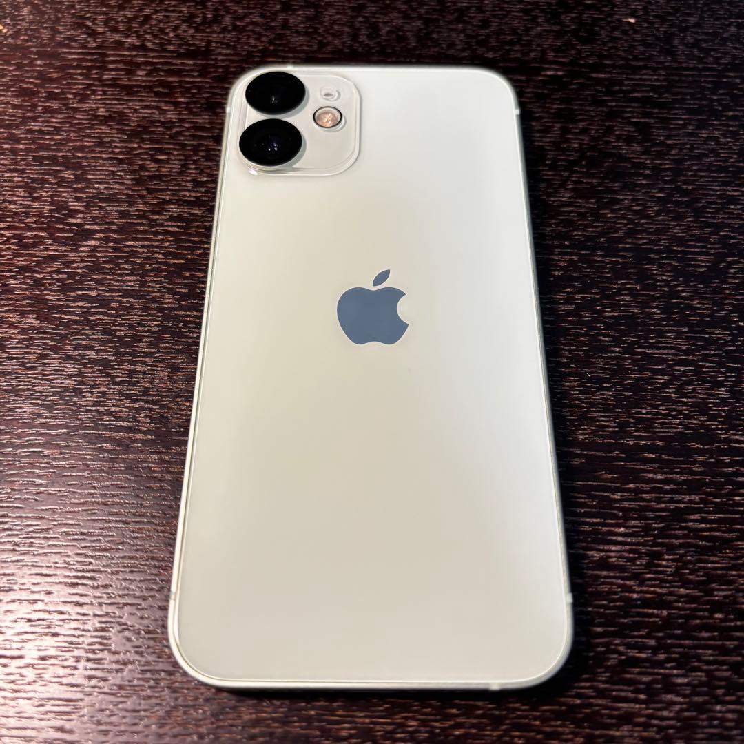 ✨国内版SIMフリー✨ Apple iPhone 12 mini 256GB
