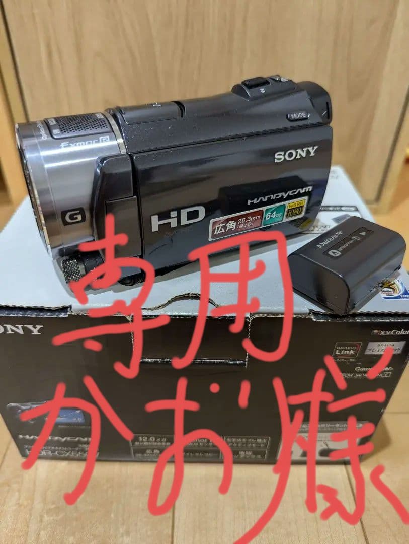 【2月28日まで限定値下げ・キズ少】SONY ハンディカム HDR-CX550V