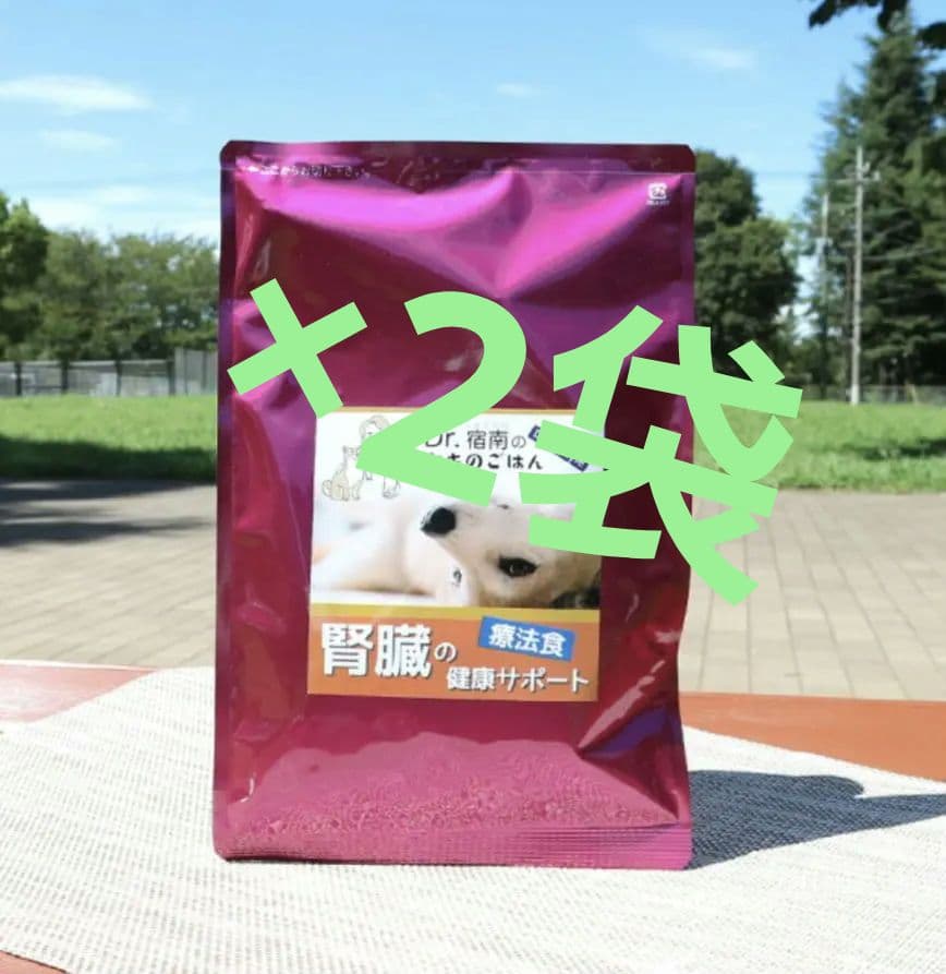 腎臓サポート ドッグフード 1kg Dr.宿南キセキのごはん×2