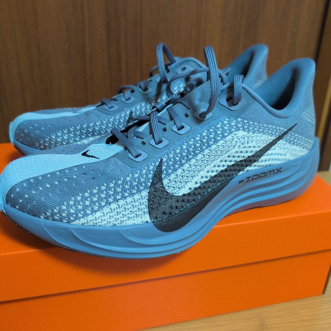 ナイキランニング ペガサス プラス