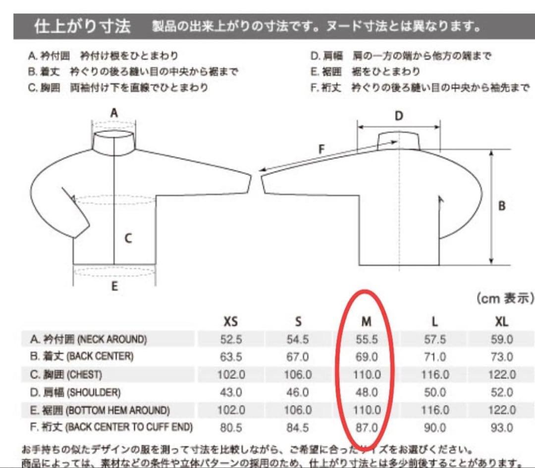 極美品モンベルプラズマ1000アルパインダウンパーカ Men'sMブラック