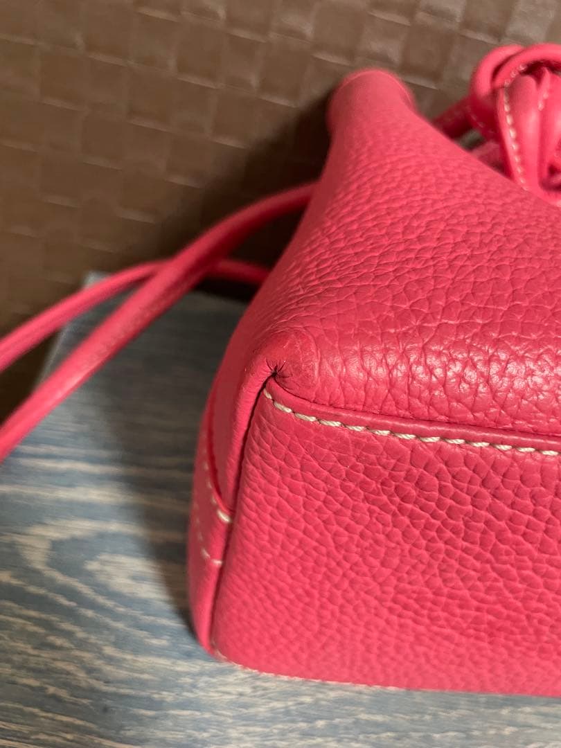 極美品Vasic Bond MiniMiniピオニー限定色 2way バッグ