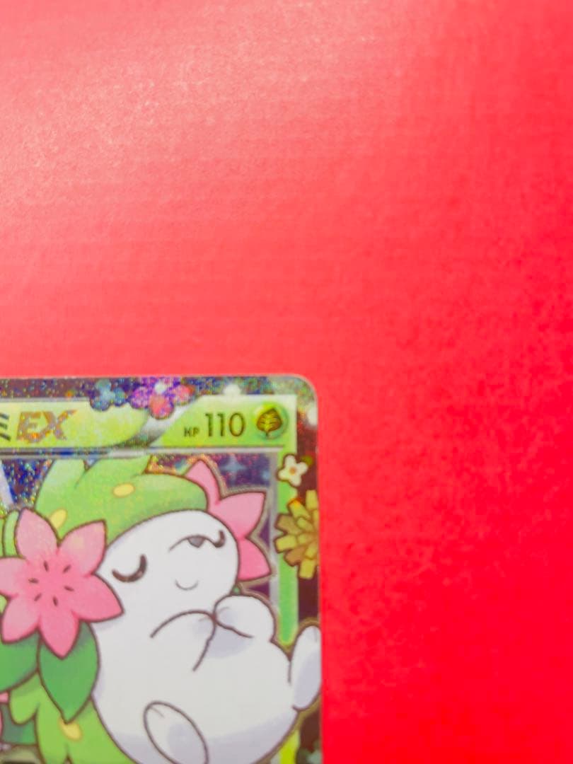 D*e様 シェイミEX：プレミアムポケキュン♥セット PROMO XYシリーズプ