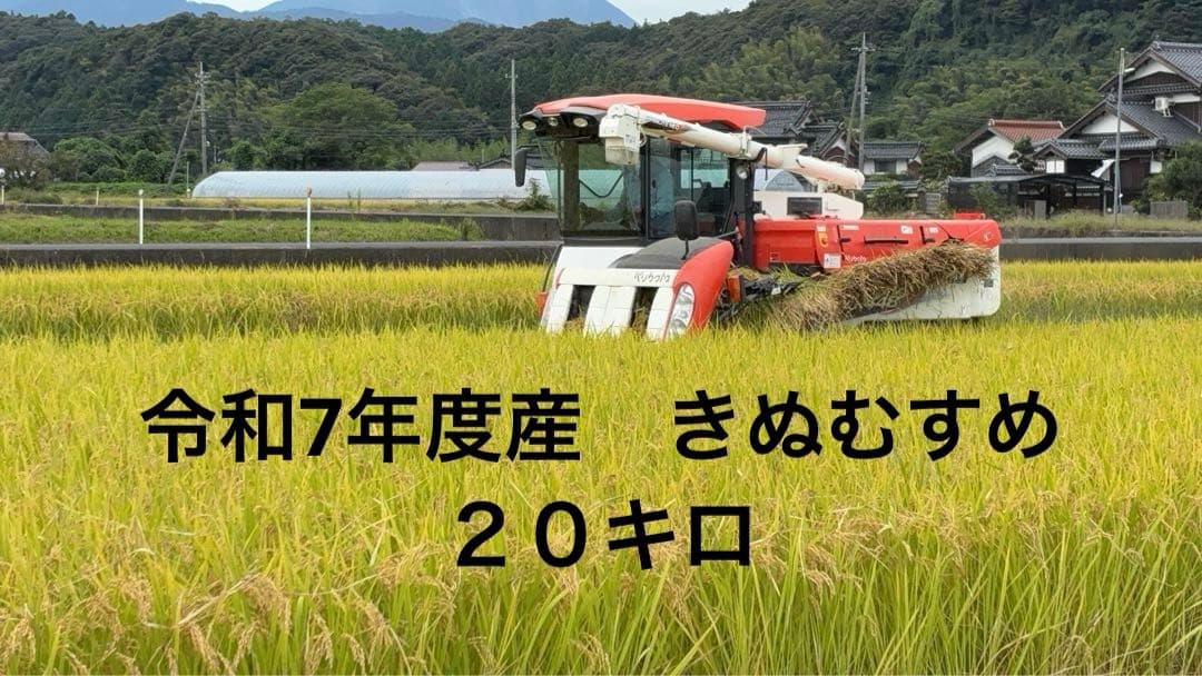 取り置きNG 令和7年度米 きぬむすめ 20キロ