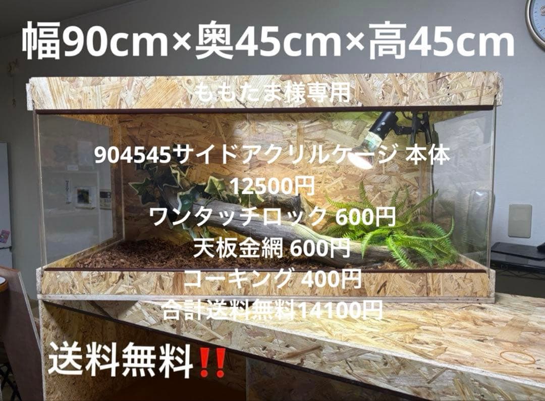 ももたま　904545