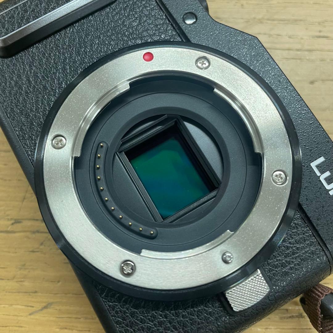 動作品 Panasonic LUMIX DC-GF90 12-32mm