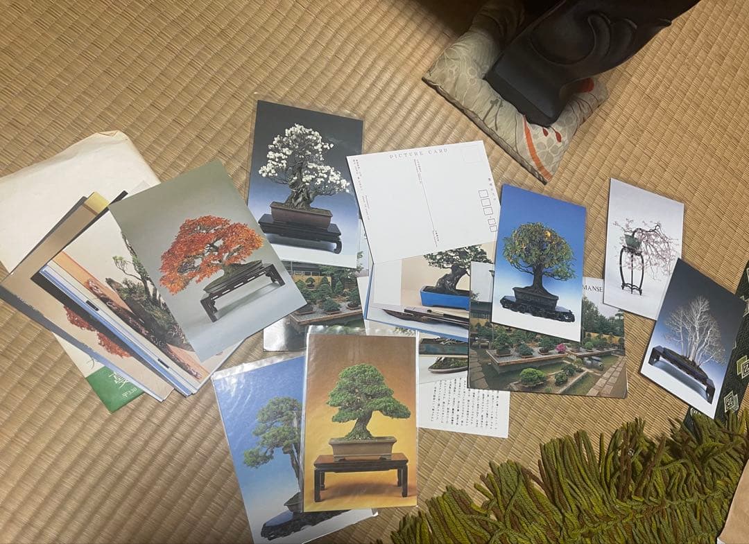 【超お買い得】国風盆栽展 コレクション 11冊　78〜90巻