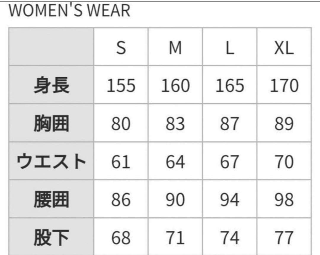 e210 Phenix フェニックス 上下 スキー スノボ ウェア セット M