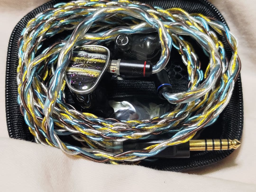 kiwiears etude 本体のみ　ケーブル交換済