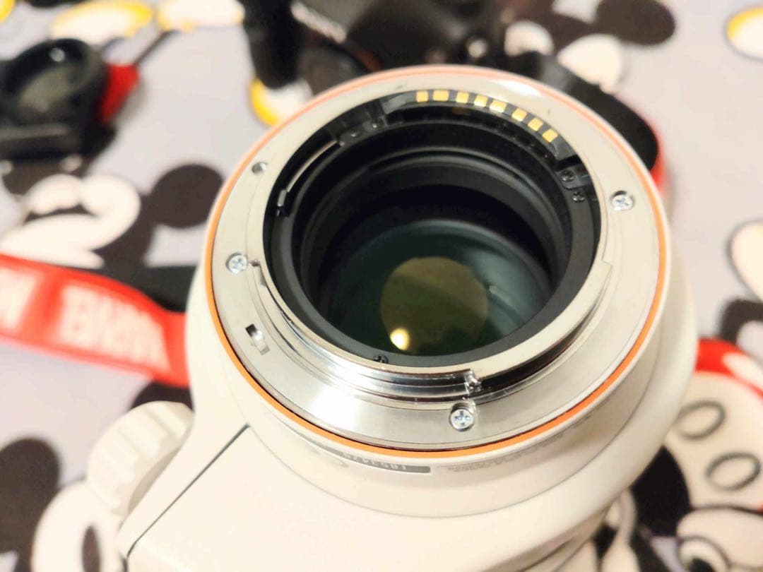 α77 Ⅱ 必ず購入前にコメント下さい