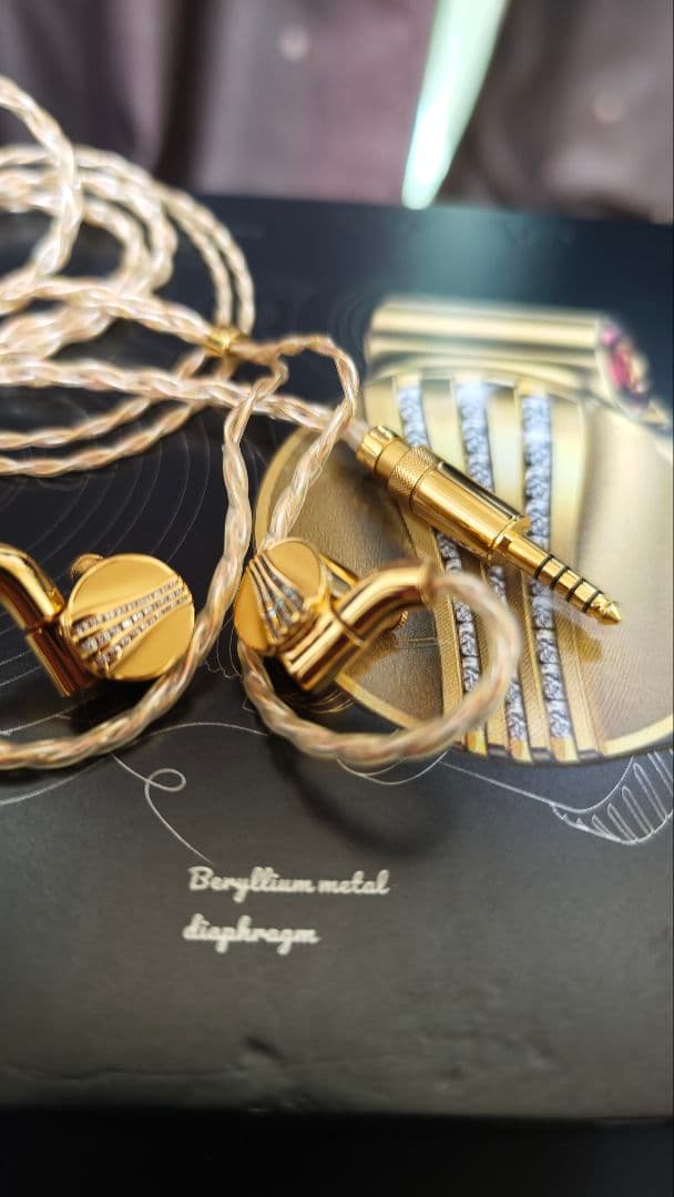 FiiO FDX 　　FIIO有線イヤホン