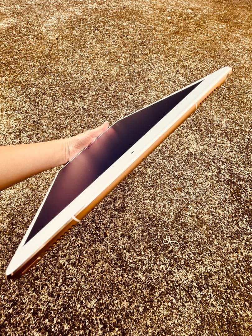 m*e様 iPad Pro 10.5インチ 256GB