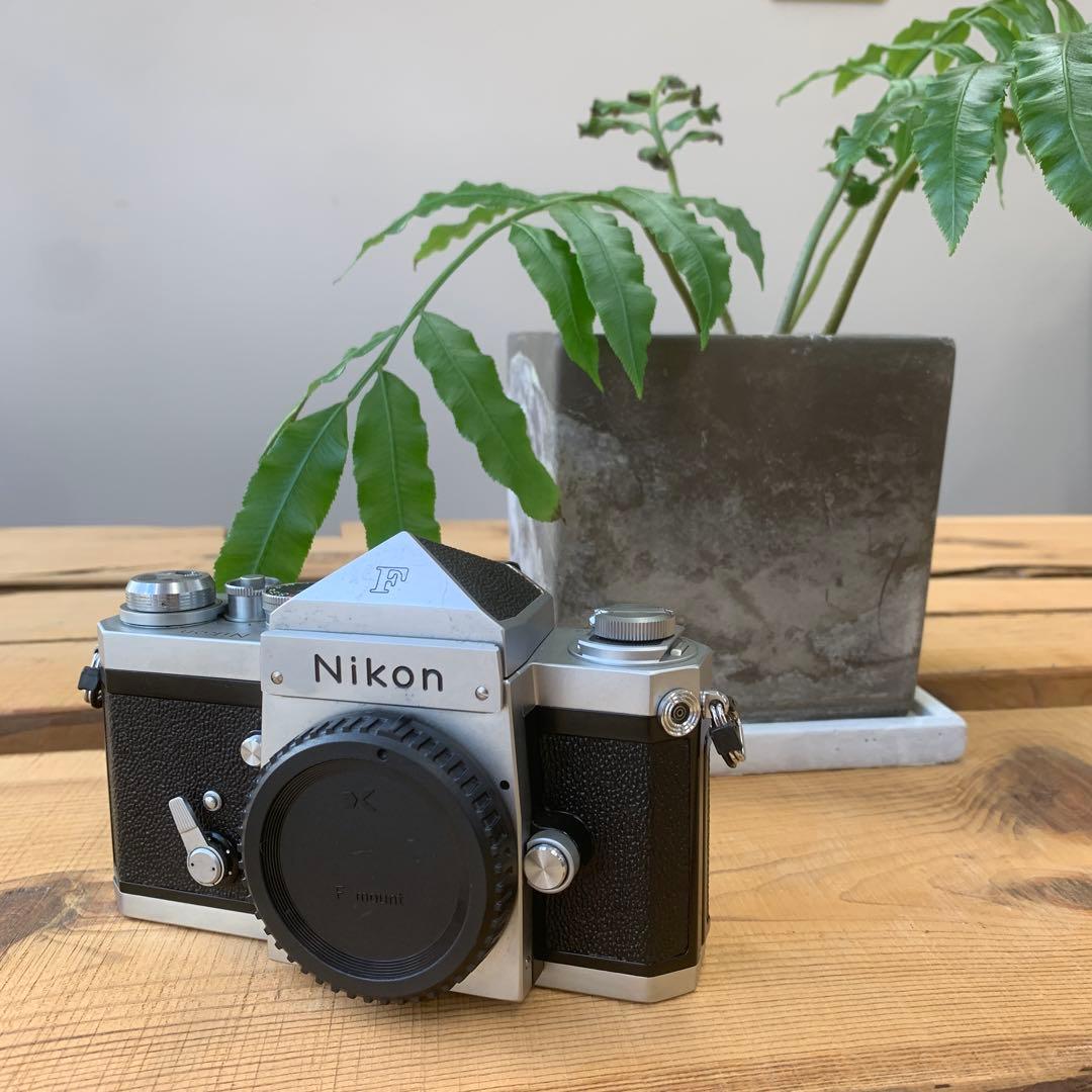 Nikon F アイレベル