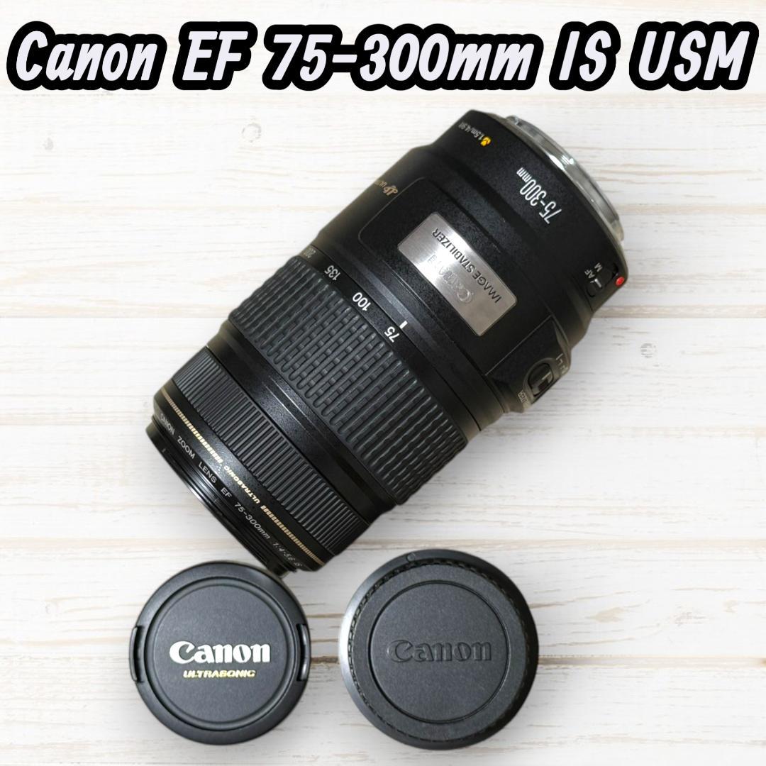 Canon 望遠レンズ EF 75-300mm IS USM #137