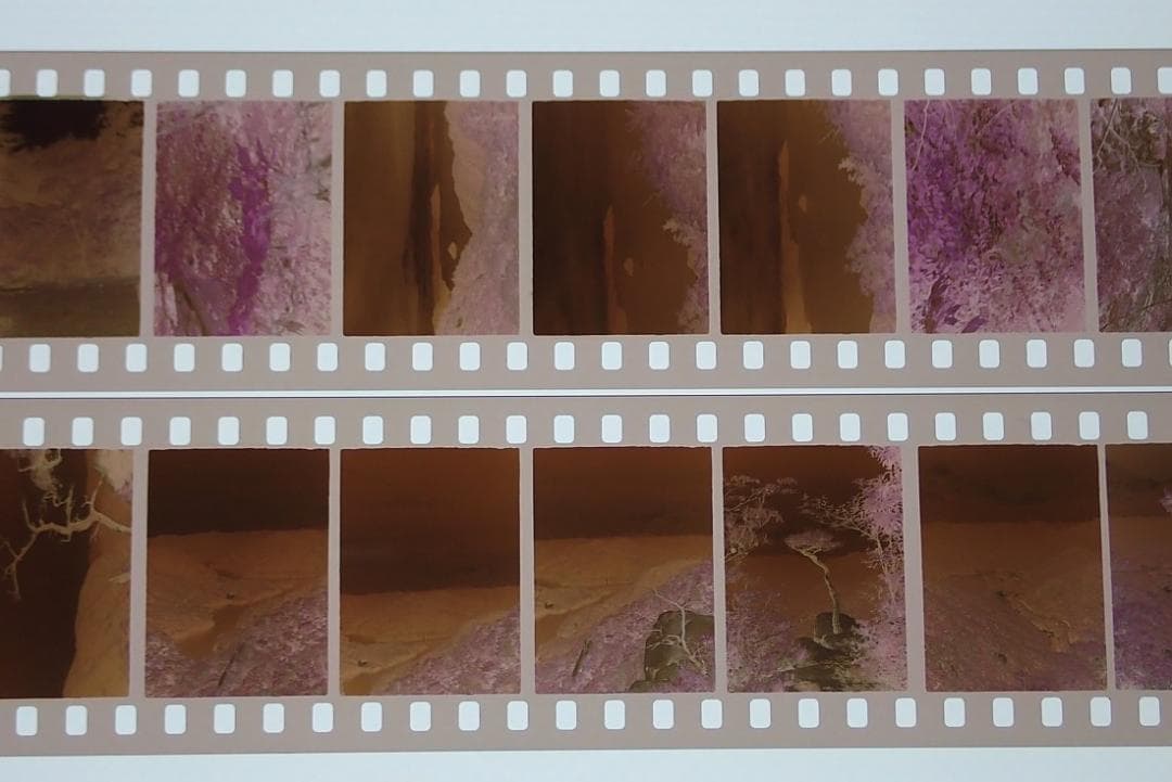 オリンパスペンS3.5　希少　実写済み　OLYMPUS PEN S3.5