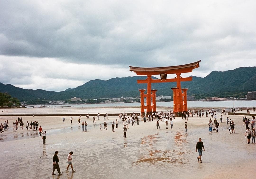 オリンパスペンS3.5　希少　実写済み　OLYMPUS PEN S3.5