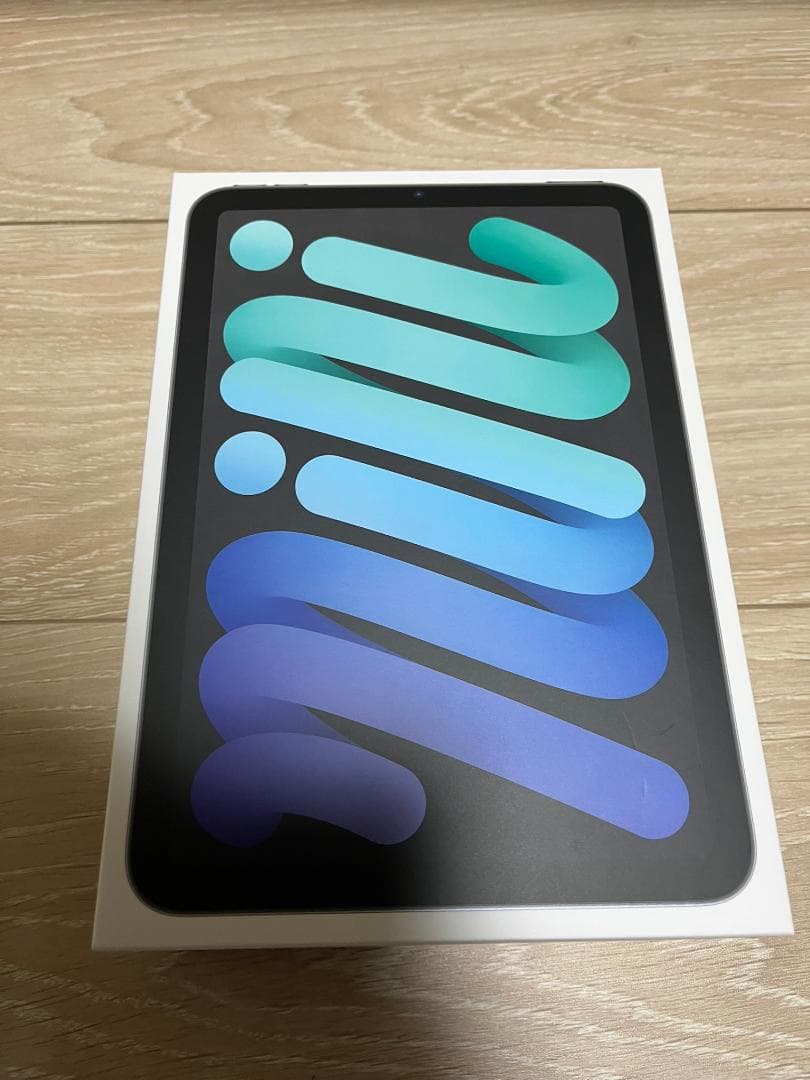 iPad mini (第6世代) 64GB Wi-Fi スペースグレイ ケース付