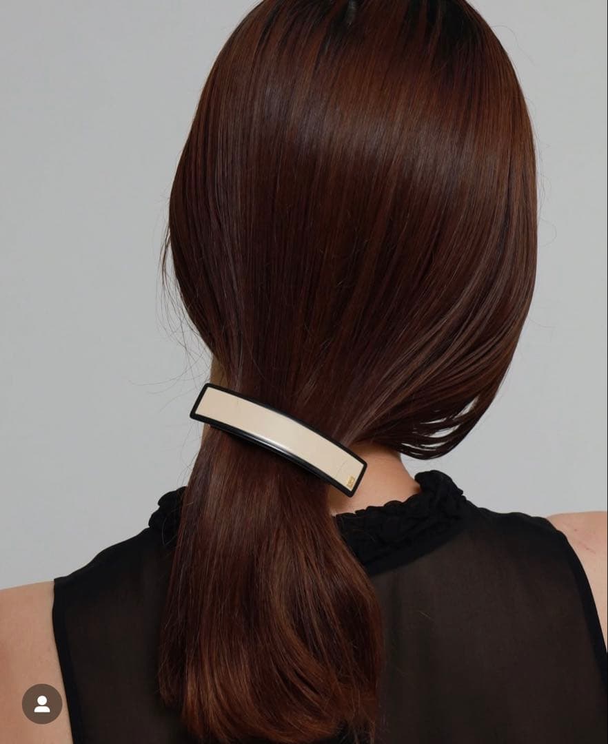 新品未使用限定品ALEXANDRE DE PARIS ヘアクリップ&バレッタ