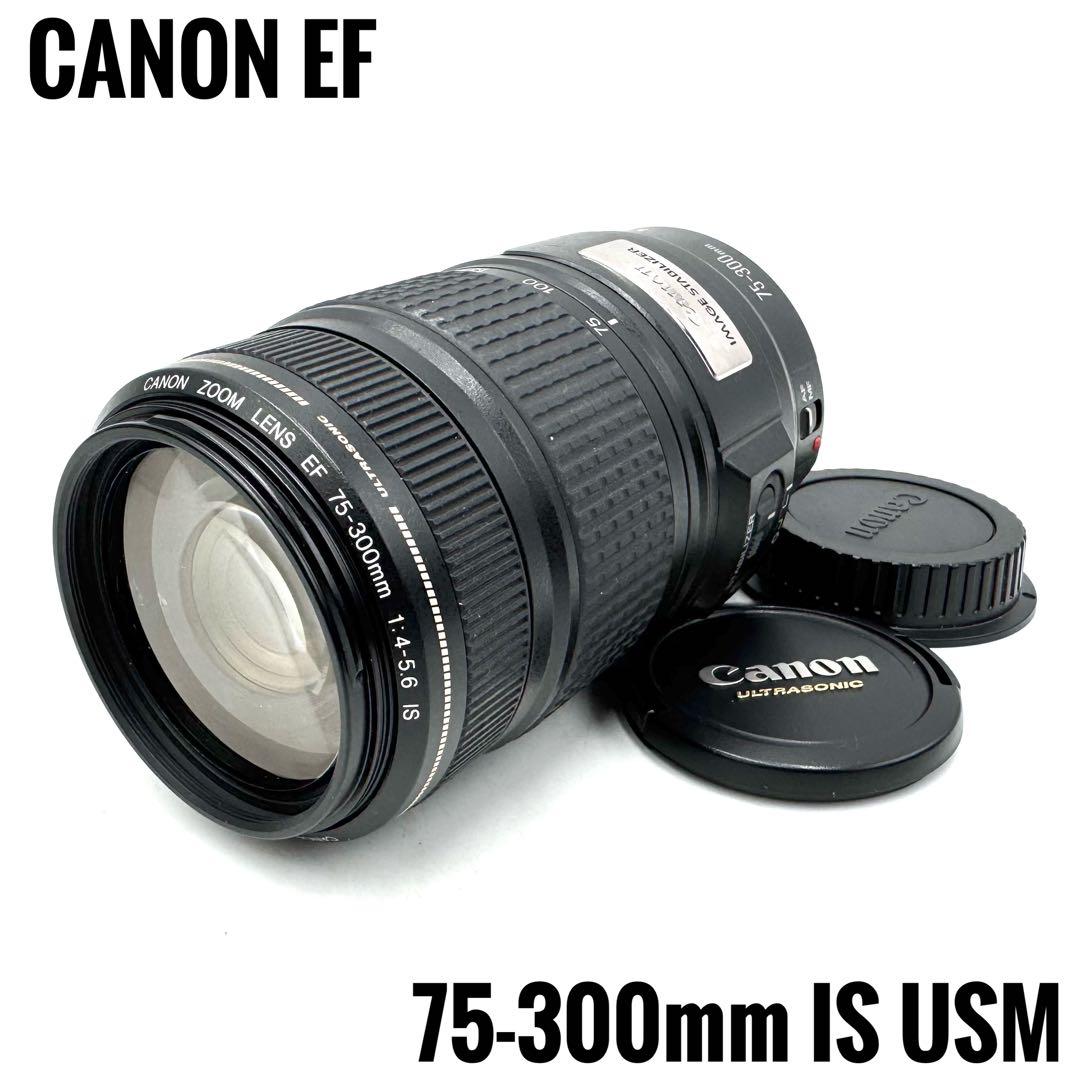 キヤノン★手ブレ補正付 超望遠レンズ EF 75-300mm IS USM