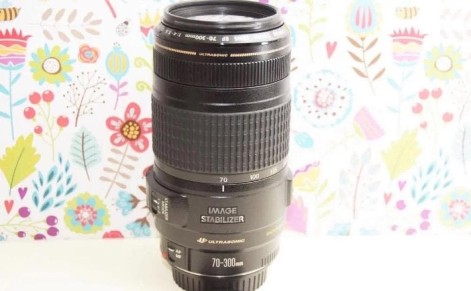 Canon EF 70-300mm F4-5.6 IS USM♥️超望遠レンズ