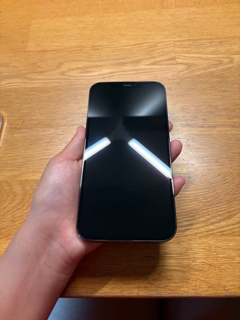 Apple iPhone 12 Pro Maxグラファイト