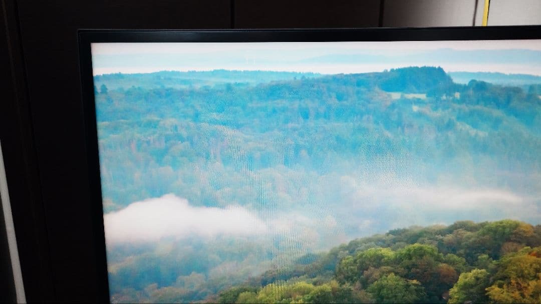 Dell モニター U4021QW　#メルカリでハロウィン