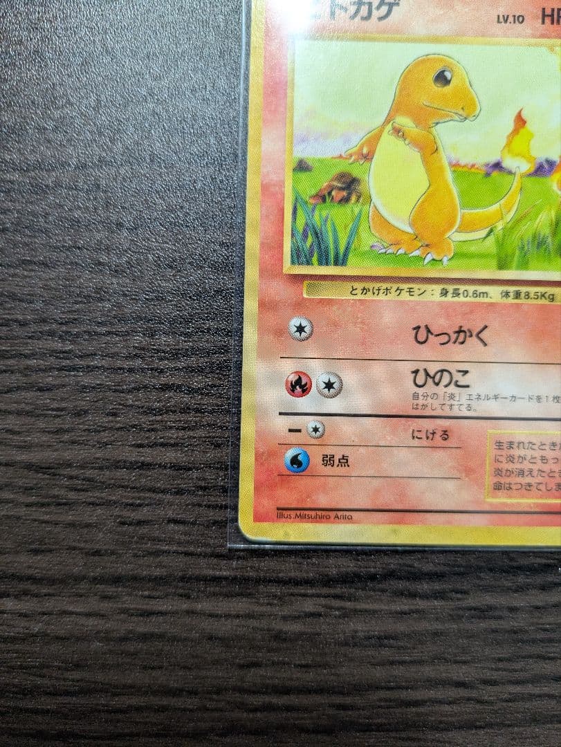 【旧裏】かえんリザードン &ヒトカゲ　★ 第1弾拡張パック