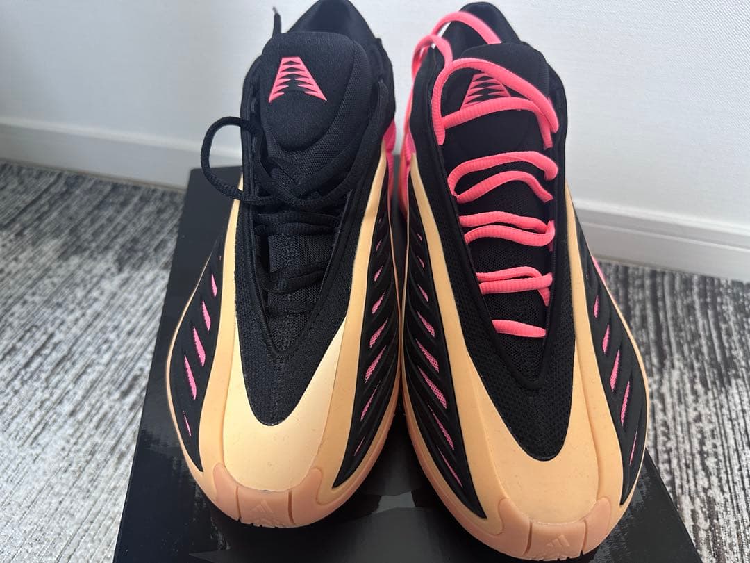 AE2 アンソニーエドワーズ Anthony Edwards 28.5cm