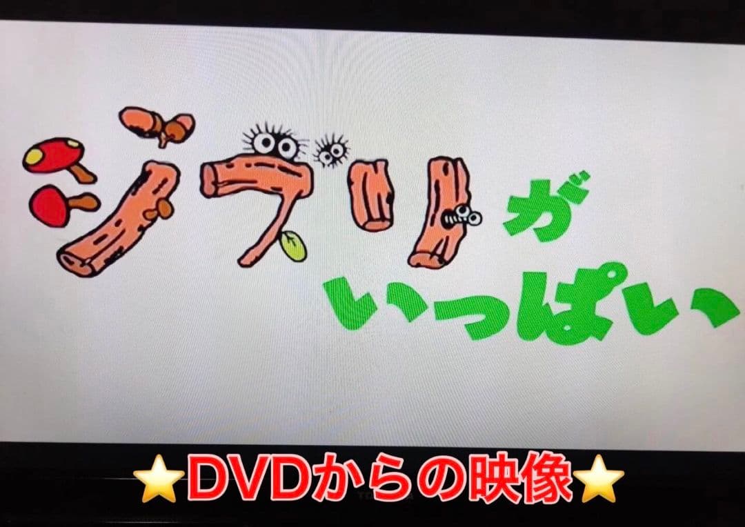 HITACHI DV-PF2 VHS DVD 一体型デッキ