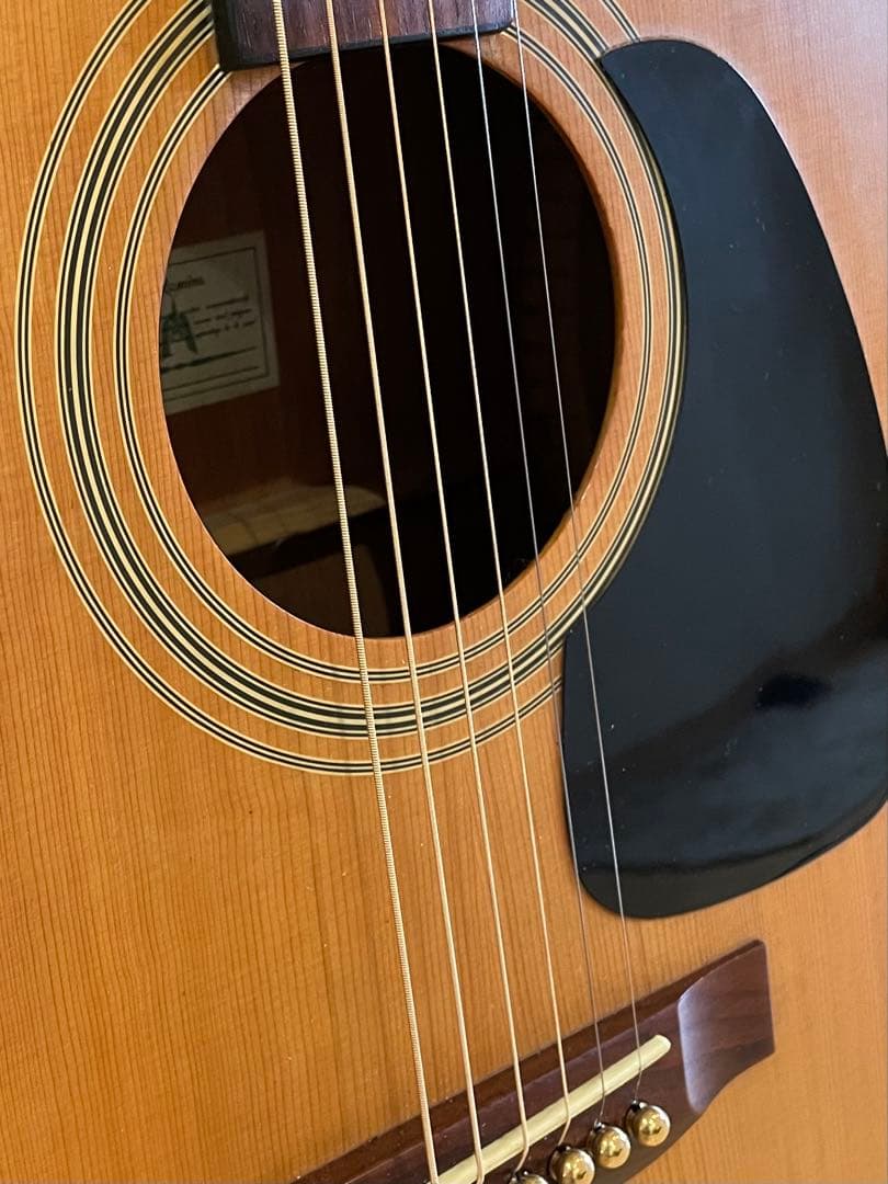 Takamine アコースティックギター