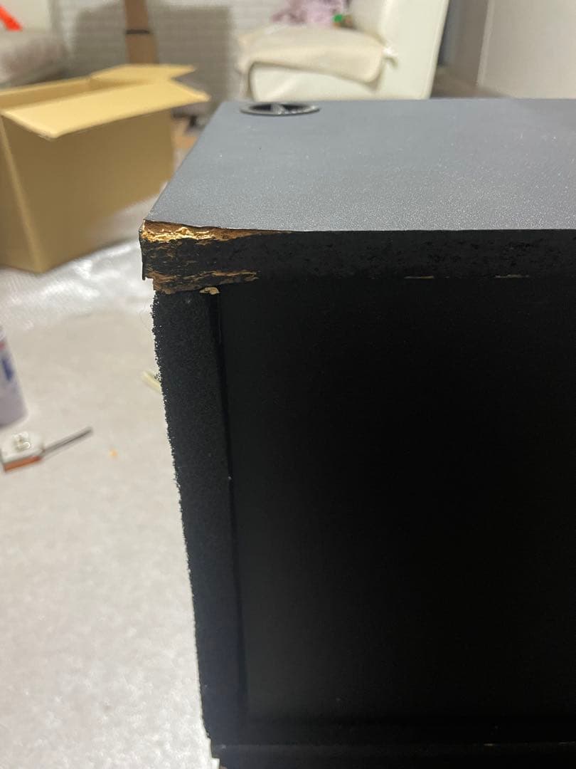 BOSE 301TM MUSIC MONITOR 音出し確認済み