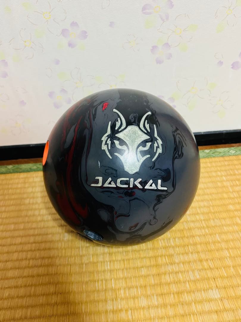 MOTIV ジャッカル・オニキス　15P 中古　パンダ