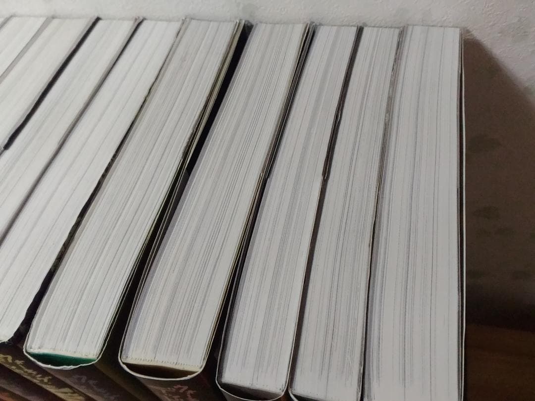 ウォーキングデッド 全10巻セット マンガ コミック 日本語版