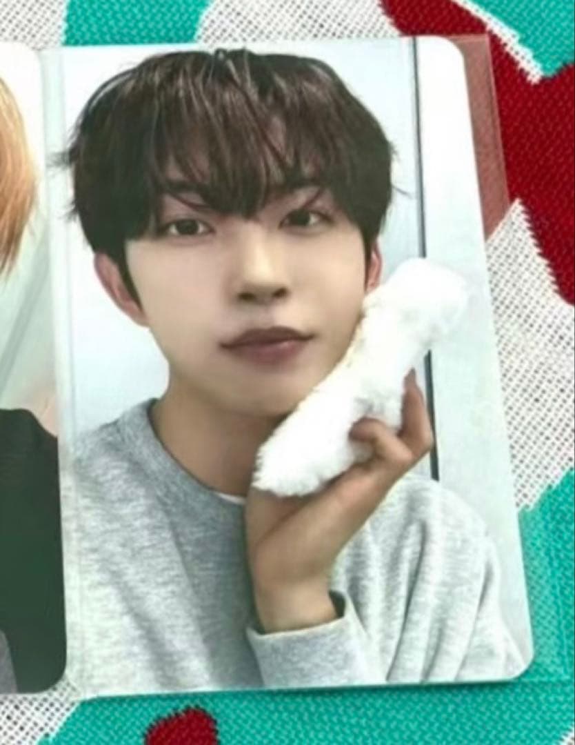 ALD1 ゴヌ EUPHORIA mnet plus 限定 トレカ C