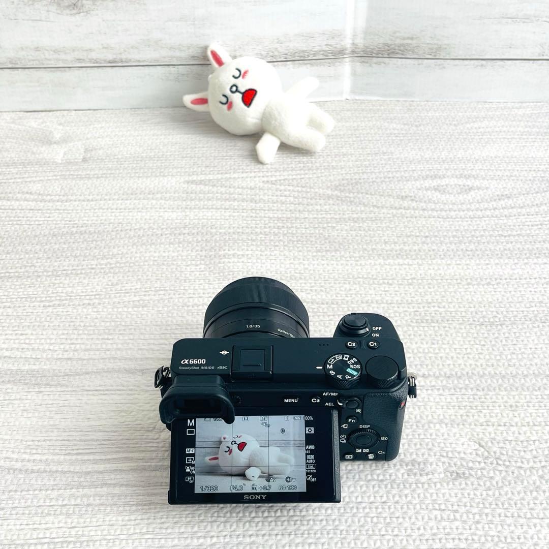 【美品・シャッター5642回】SONY α6600 ボディ ミラーレス一眼カメラ