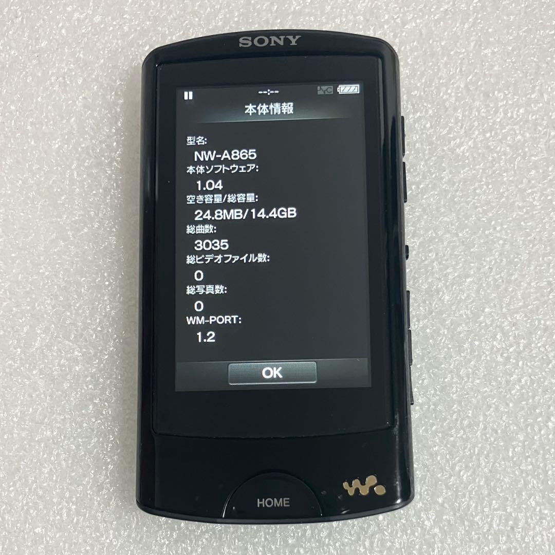 【ディスプレイ　バッテリー良好】　ソニー ウォークマン NW-A35 16GB