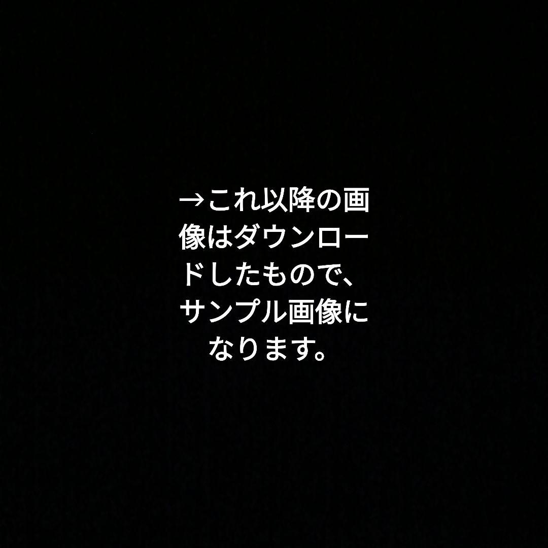 【新品未使用】クレイツイオン スタイリングブラシアイロン VIELLE S