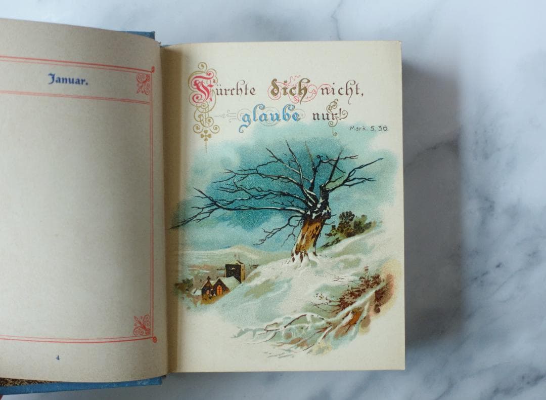 ドイツ 古書 アンティーク 勿忘草のメモリアルブック 青 洋書 希少 レア