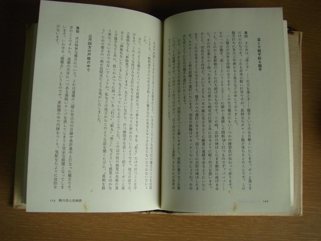 武術談義　甲野善紀　黒田鉄山