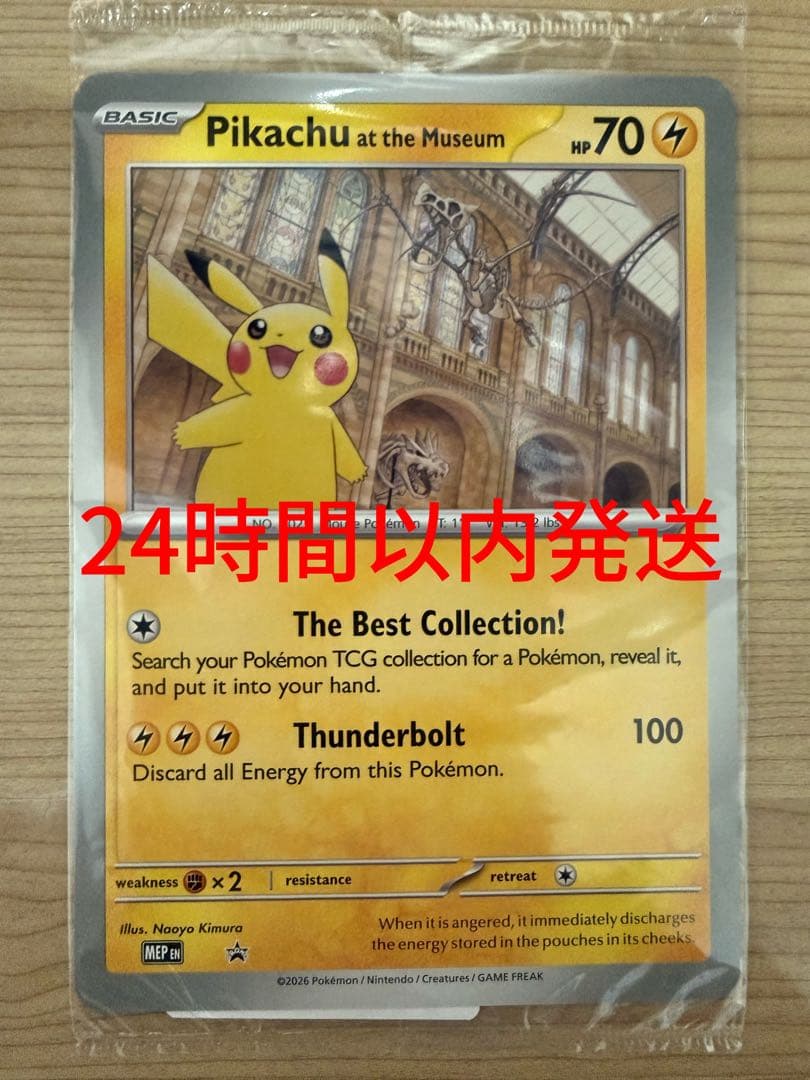 Pikachu at the Museum ピカチュウ ロンドン自然史博物館