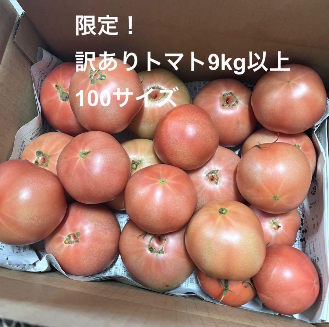 ひろです‼️3日出荷予定‼️訳ありトマト9キロ以上