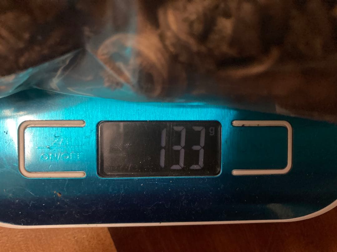 信州産乾燥香茸