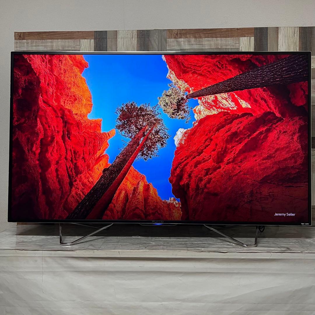 即日受渡❣️全国送料込フナイ65型3TB6チューナYouTube.Netflix