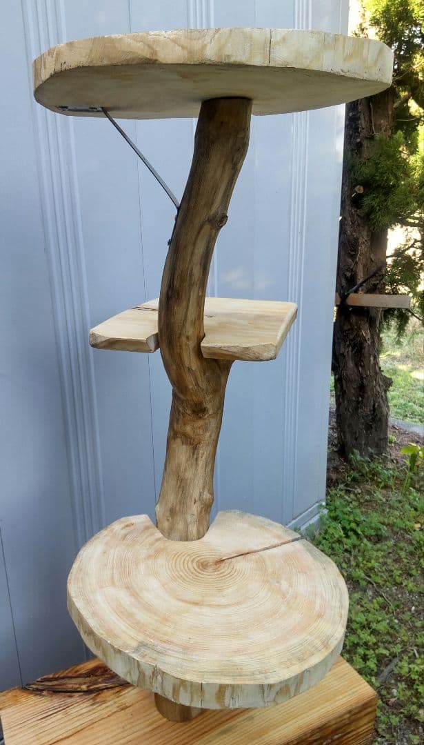 キャットタワー