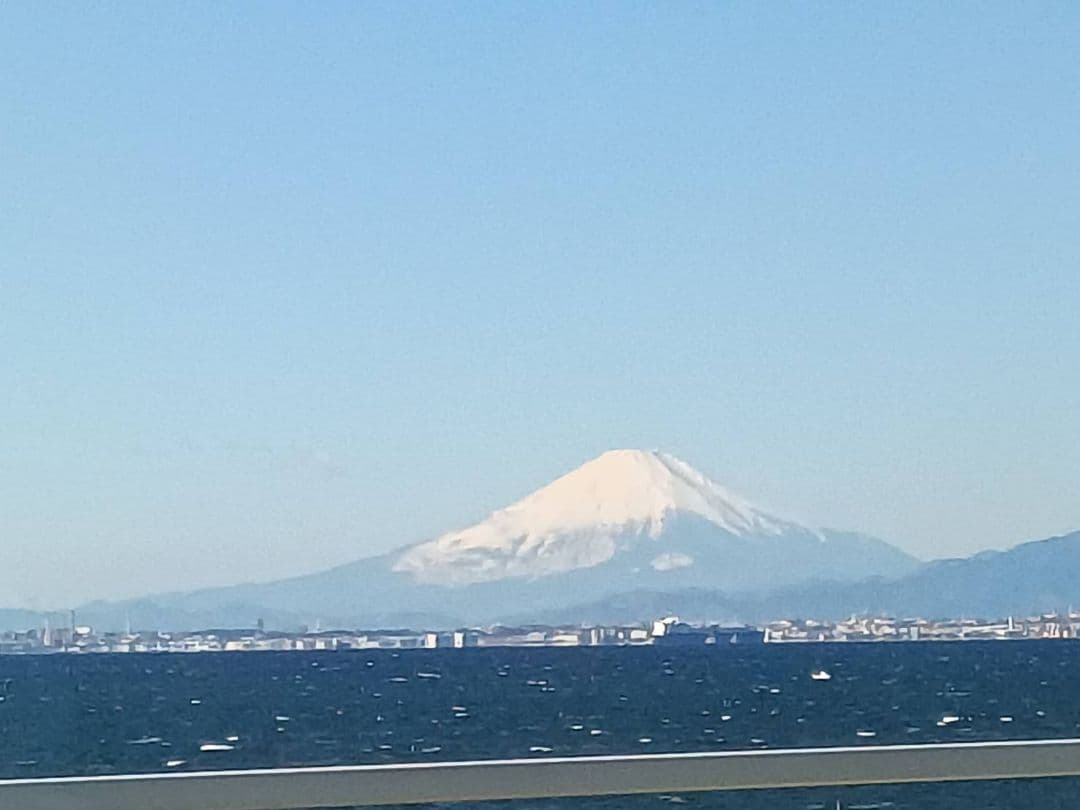 motorola moto g66y 5G 本体 スマホ端末携帯